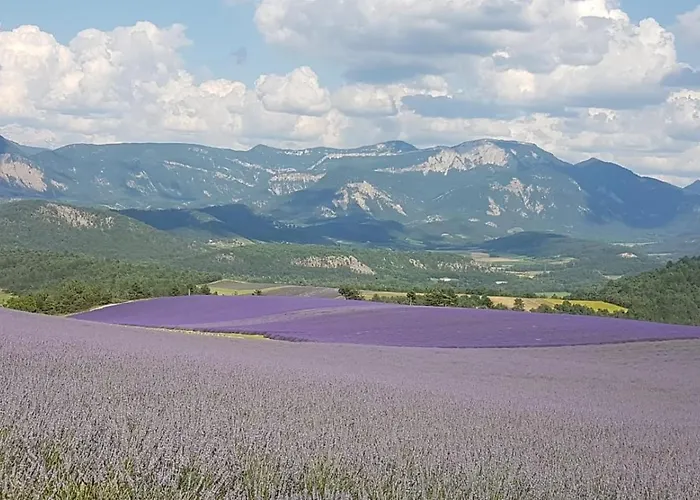 Le Glandasse